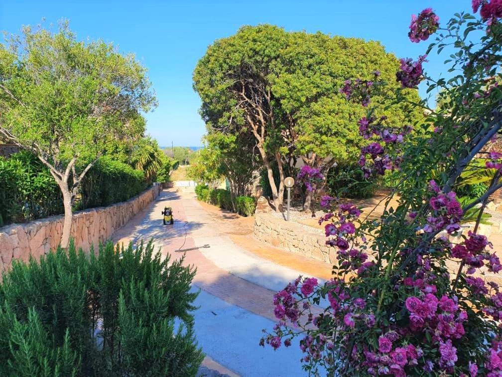 Villa Saba 奧爾比亞 外观 照片
