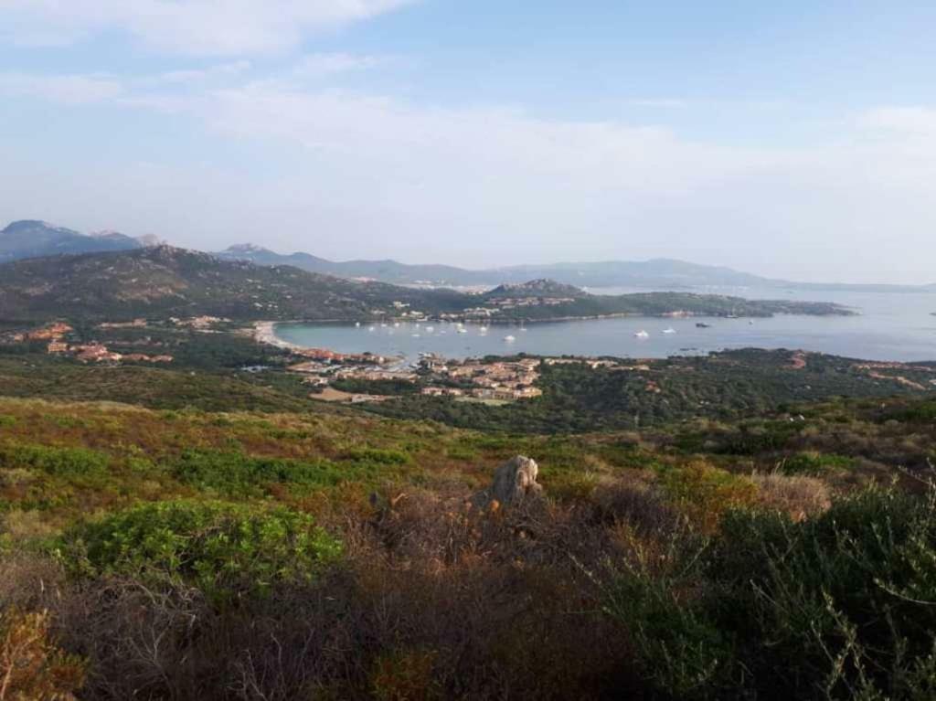 Villa Saba 奧爾比亞 外观 照片